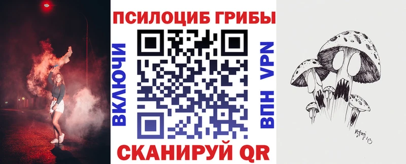 Псилоцибиновые грибы Psilocybe  Ногинск 
